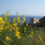Adonis Naxos