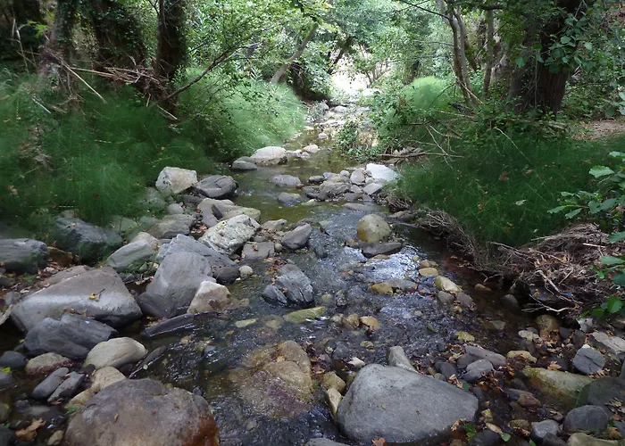 מלון Adonis Naxos אפולון