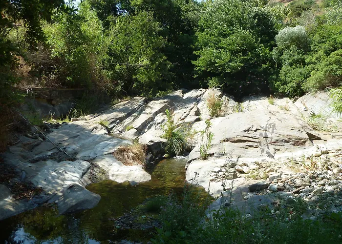 Adonis Naxos מלון אפולון