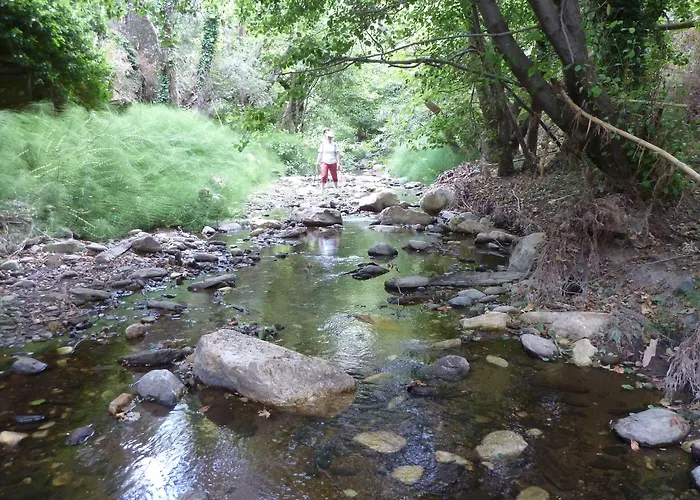 Adonis Naxos אפולון