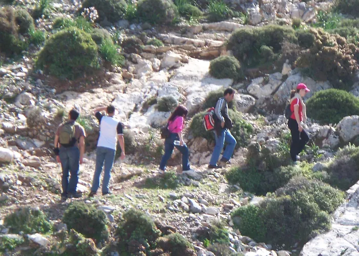 Adonis Naxos מלון 2*