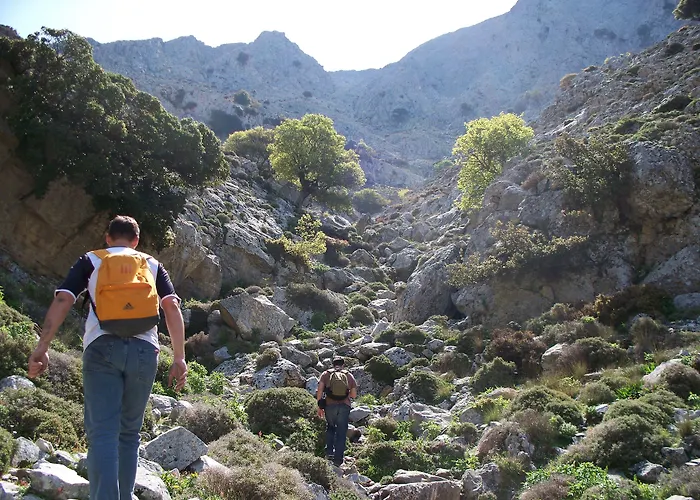 Adonis Naxos מלון 2*