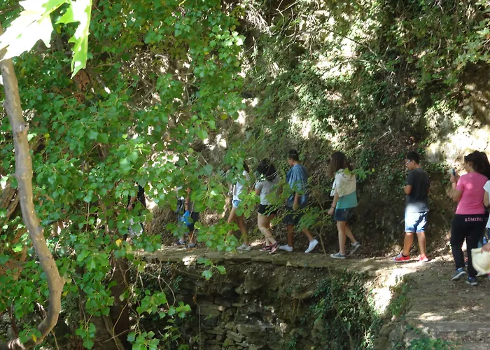 Adonis Naxos מלון