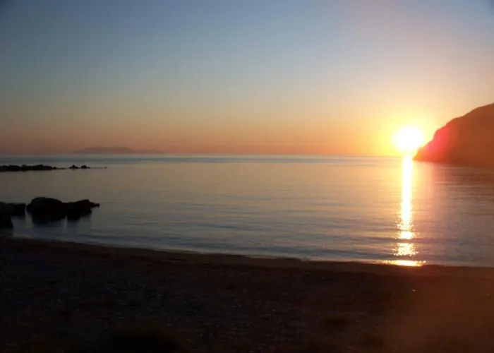 Adonis Naxos מלון 2*